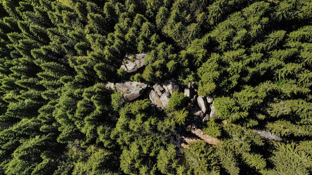 Zeleni Nar udruženje