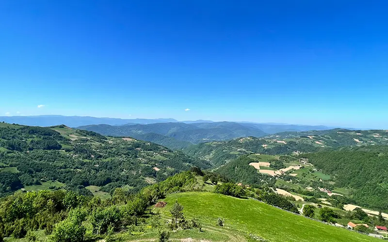 Zeleni nar udruženje ekologija ekološko